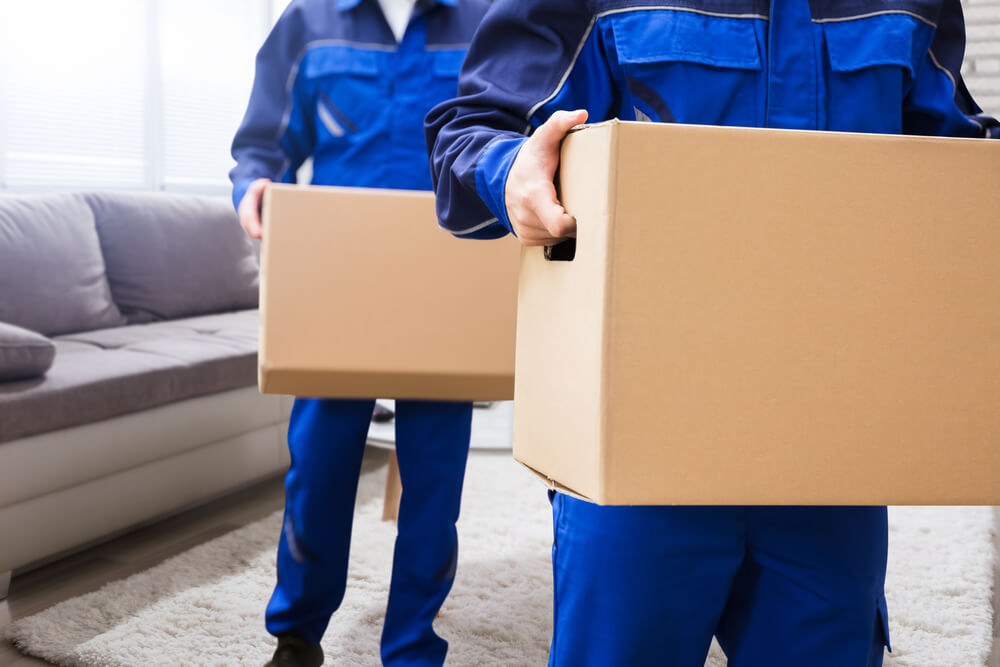 Office Movers Port Orange