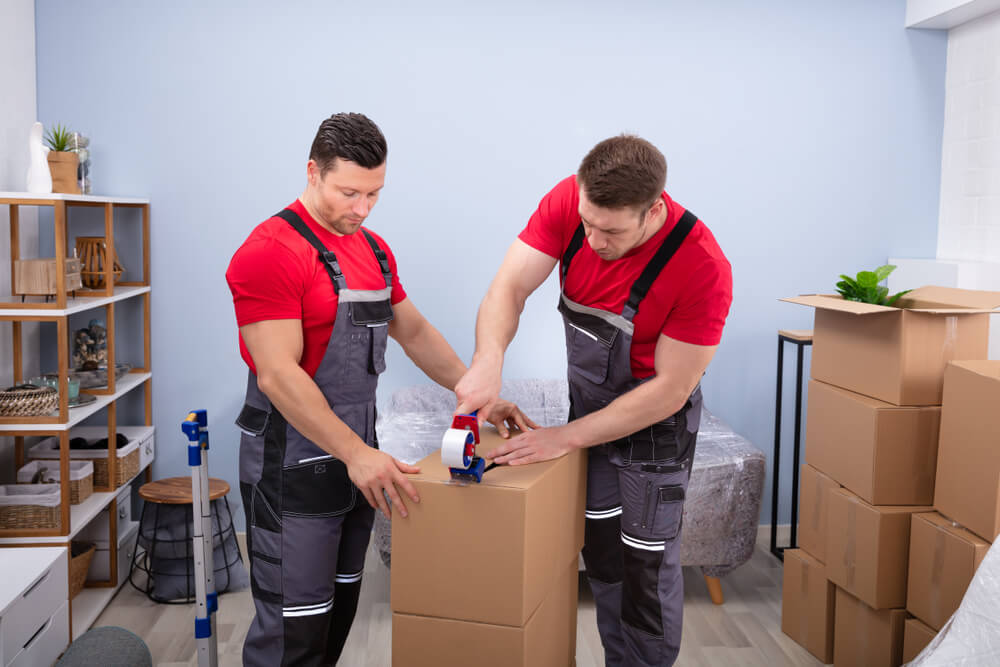 Reliable Movers Near Me Bay Pines