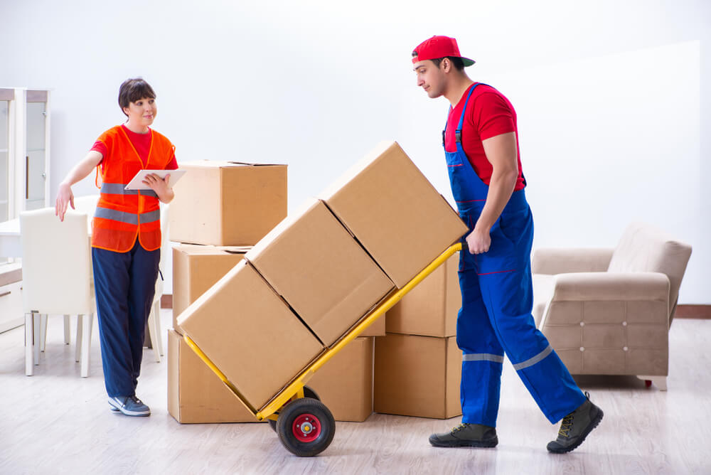 Top Rated Moving Company Vista
